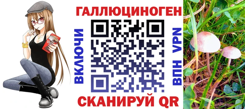 Псилоцибиновые грибы ЛСД Городовиковск