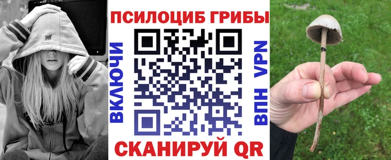 сколько стоит  Городовиковск  Псилоцибиновые грибы мицелий 